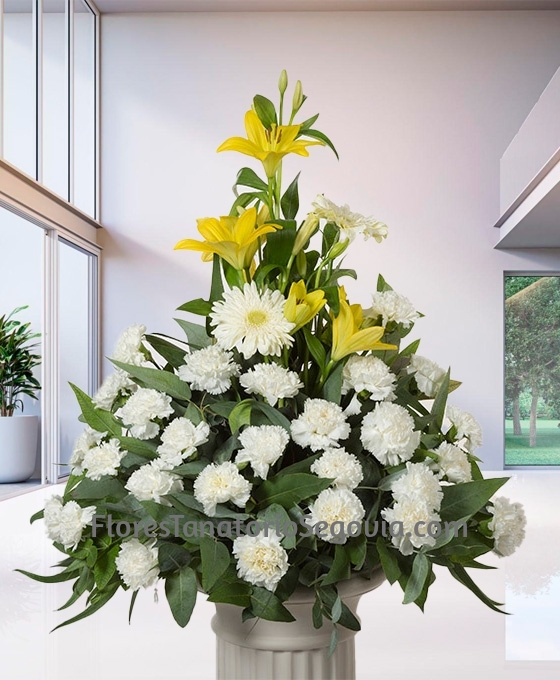 Centro funerario condolencia